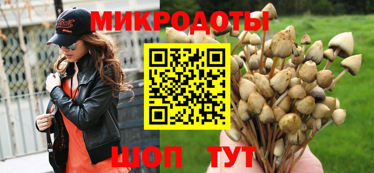 Галлюциногенные грибы Psilocybine cubensis Пенза