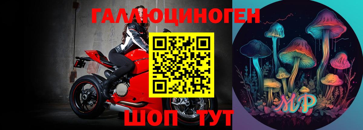 Пенза  Галлюциногенные грибы Magic Shrooms  Вход с VPN 